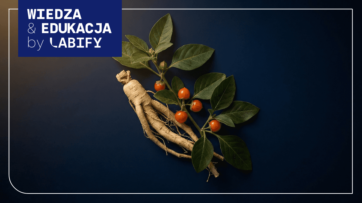 Ashwagandha – co to jest, jakie ma właściwości i na co pomaga?